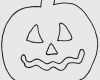 Portfolio Vorlagen Zum Ausdrucken Schön Portfolio Krippe Vorlagen Zum Ausdrucken Schön Halloween