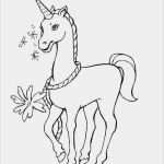 Portfolio Vorlagen Zum Ausdrucken Wunderbar Portfolio Vorlagen Zum Ausdrucken Einzigartig Kostenlos