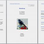 Post Bewerbung Vorlage Erstaunlich Bewerbung D