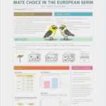 Poster Vorlage Powerpoint Süß A1 Size Powerpoint Template Poster Presentation Bolducfo