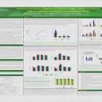 Poster Vorlage Powerpoint Wunderbar Großartig Vorlagen Für Wissenschaftliche Poster Bilder