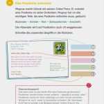 Postkarte Schreiben Vorlage Gut 15 Postkarte Schreiben Klasse 2