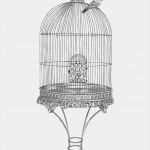 Postkartenformat Vorlage Hübsch Zeichnung Vogelkäfig Bleistift Graphit Din A4