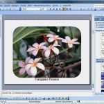 Powerpoint Diashow Vorlage Großartig Powerpoint Diashow Erstellen