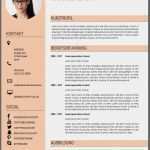 Powerpoint Vorlage Schlicht Best Of Llll Lebenslauf Muster Und Vorlagen Moderner Lebenslauf