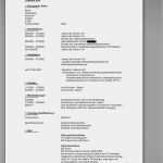 Powerpoint Vorlage Schlicht Hübsch [edv Kenntnisse Angeben] 100 Images Von Der Biografie