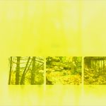 Powerpoint Vorlage Schultafel Schön Kostenlos Download Bilder Gespiegelte Vor Einem