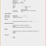 Powerpoint Vorlagen Bewerbung Erstaunlich 7 Polizei Lebenslauf