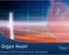 Powerpoint Vorlagen Biologie Beste Lebenswichtiges organ Herz Powerpoint Vorlage