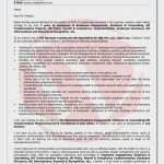 Powerpoint Vorlagen Professionell Kostenlos Einzigartig Example A Professional Resume Beautiful Professional