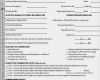 Ppap Level 3 Vorlage Bewundernswert Ppap forms In Excel
