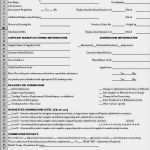 Ppap Level 3 Vorlage Bewundernswert Ppap forms In Excel