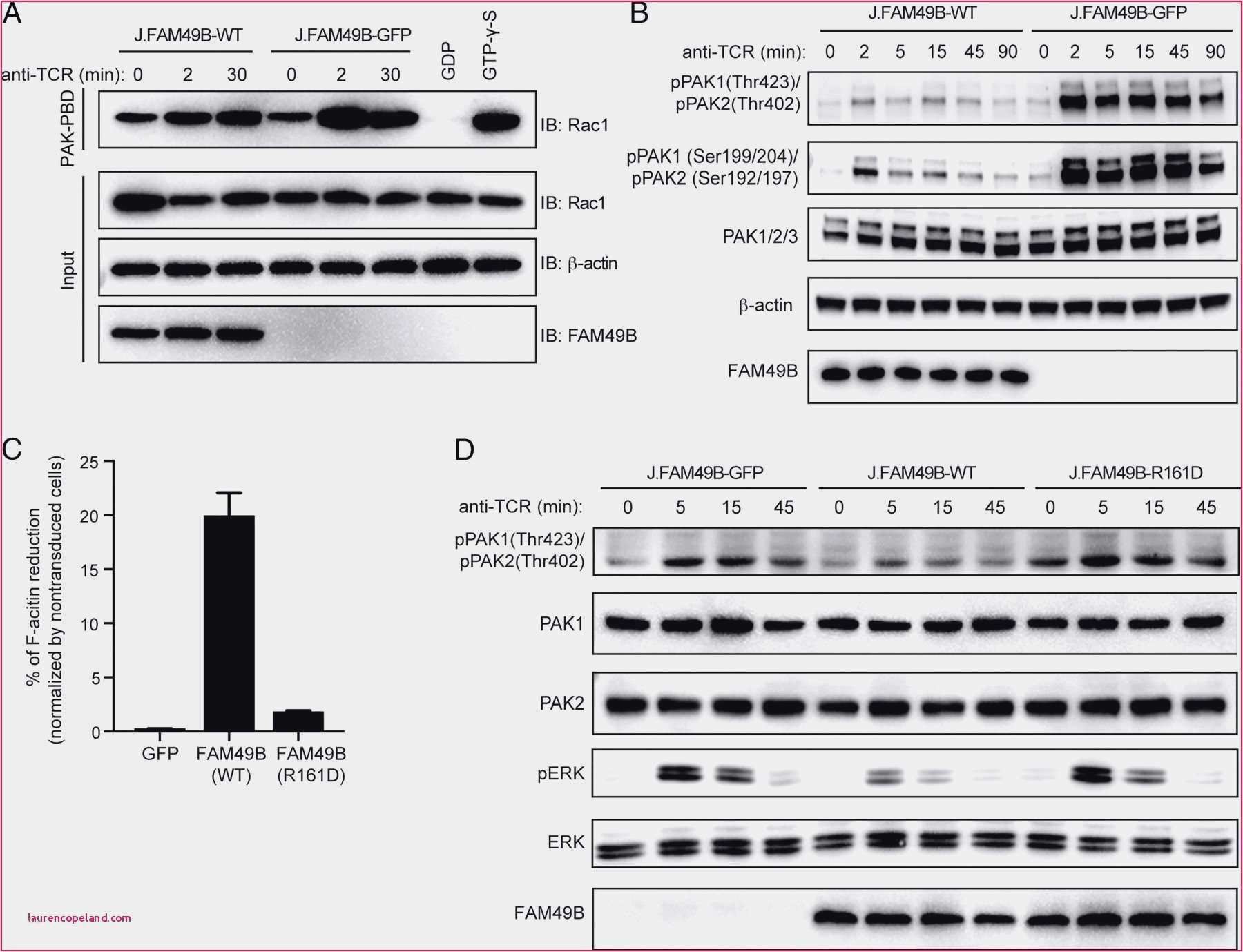 Ppt Vorlage Wer Wird Millionär Luxus Memory Selber Machen Vorlage Geburtstag Karte Ausdrucken