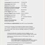 Praktikum Ausbildungsplan Vorlage Best Of Abschlussbericht Praktikum Kindergarten Vorlage Schönste