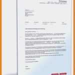 Praktikum Ausbildungsplan Vorlage Beste 8 Kündigung Praktikum Muster