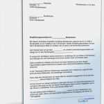 Praktikum Ausbildungsplan Vorlage Schönste Empfehlung Eines Studenten Für Ein Praktikum Muster Zum