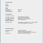 Praktikum Bewerbung Polizei Vorlage Erstaunlich Lebenslauf Polizei Bewerbung