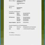 Praktikum Lebenslauf Vorlage Beste 10 Placement Praktikum Lebenslauf Simple Step