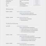 Praktikum Lebenslauf Vorlage Hübsch Muster Lebenslauf Praktikum Elegant Bewerbungsschreiben