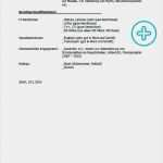 Praktikum Lebenslauf Vorlage Inspiration Lebenslauf Praktikum Mit Beispielen