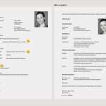 Praktikum Lebenslauf Vorlage Neu Lebenslauf Vorlage Praktikum Lebenslauf Beispiel