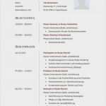 Praktikumsbericht Deckblatt Vorlage Erstaunlich 47 Einzigartig Deckblatt Praktikumsbericht Vorlage Word