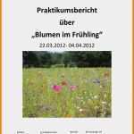 Praktikumsbericht Grundschule Vorlage Elegant 10 Praktikumsbericht Grundschule Vorlage