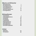 Praktikumsbericht Grundschule Vorlage Wunderbar Charmant Vorlage Schule Fotos Dokumentationsvorlage