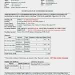 Praktikumsbericht Hotel Vorlage Neu Wunderbar Hotel Umfrage Vorlage Ideen Beispiel