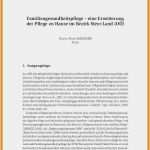Praktikumsbericht Kindergarten Vorlage Schönste Praktikumsbericht Kindergarten Tagesbericht Frisch