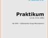 Praktikumsbericht Krankenhaus Vorlage Cool Praktikumsbericht Vorlage Schule 9 Klasse Fabelhaft 11