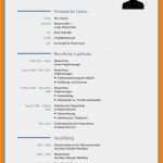 Praktikumsbericht Krankenhaus Vorlage Erstaunlich 17 Praktikum Schüler Bewerbung