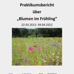 Praktikumsbericht Krankenhaus Vorlage Erstaunlich Praktikumsbericht Deckblatt Praktikumsberichte