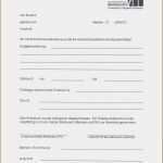 Praktikumsbericht Schreiben Vorlage Beste 14 Praktikumsnachweis Vorlage