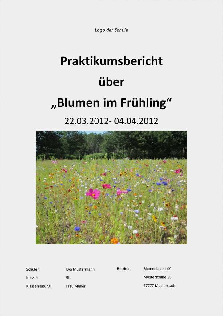 Praktikumsbericht Sparkasse Vorlage Schön Praktikum Deckblatt Vorlage
