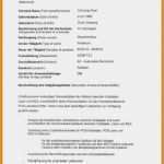 Praktikumsbericht Vorlage Kindergarten Inspiration 19 Kurzbewerbung Praktikum Muster