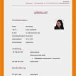 Praktikumsbericht Vorlage Kindergarten Schönste 15 Kindergarten Praktikum Steckbrief Kindergarten