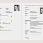 Praktikumsbericht Vorlage Schule 10 Klasse Erstaunlich 15 Praktikumsbericht Vorlage Schule Klasse