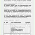 Praktikumsbericht Vorlage Schule 10 Klasse Hübsch 15 Praktikumsbericht Vorlage Schule Klasse