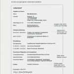 Praktikumsbericht Vorlage Schule 9 Klasse Deckblatt Erstaunlich 15 Praktikumsbericht Vorlage Schule Klasse