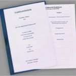 Praktikumsbericht Vorlage Schule 9 Klasse Deckblatt Erstaunlich Vordruck Praktikumsbericht