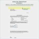 Praktikumsbericht Vorlage Word Großartig Fax Deckblatt Deckblatt Praktikumsbericht Vorlage Word