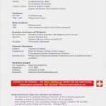Praktikumsbewerbung Muster Vorlage Wunderbar atemberaubend Executive Lebenslauf Vorlage Australien