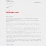 Praktikumsbewerbung Muster Vorlage Wunderbar Bewerbung Franzoesisch Muster