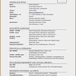 Praktikumsmappe Vorlage Pdf Wunderbar 12 Praktikumsmappe Muster