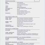 Praktikumsmappe Vorlage Realschule Genial 9 Lebenslauf 9 Klasse