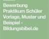 Praktikumsvertrag Vorlage Word Erstaunlich Die 25 Besten Ideen Zu Bewerbung Praktikum Muster Auf