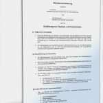 Praktikumsvertrag Vorlage Word Fabelhaft Praktikumsvertrag Vorlage Word Angenehm Beliebte Downloads