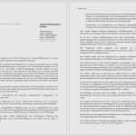 Praktikumszeugnis Vorlage Word Schön 68 Großartig Praktikumszeugnis Vorlage Word Abbildung