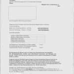 Praktikumszeugnis Vorlage Zum Ankreuzen Wunderbar 17 Praktikumszeugnis Vorlage Word
